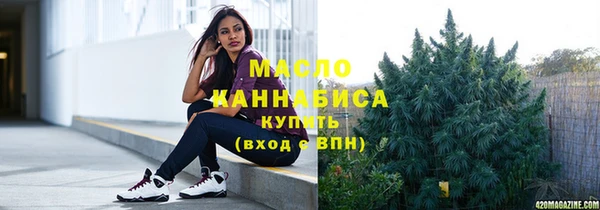индика Саяногорск