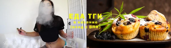 индика Саяногорск