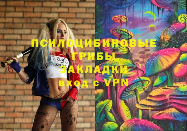 индика Саяногорск