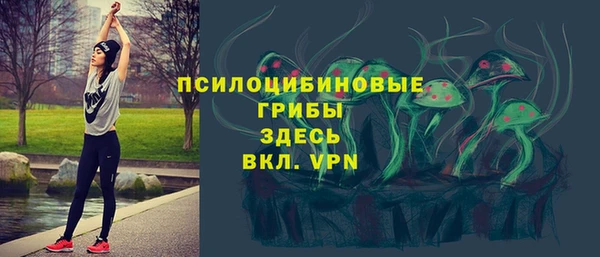 ECSTASY Баксан
